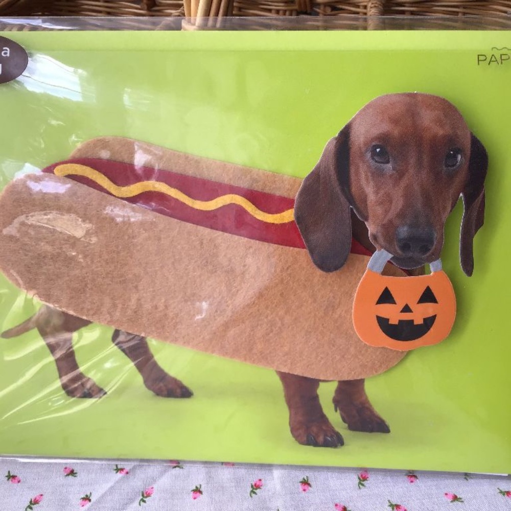 NWT Duchshund Happy Halloween card with envelope